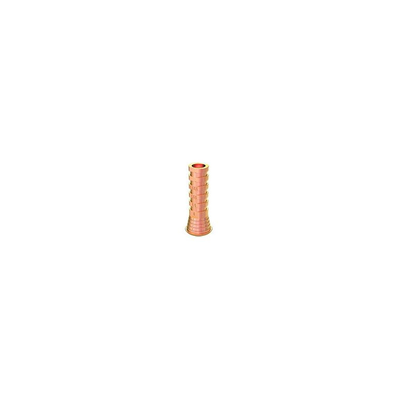 Pilar titanio + tornillo RS-TTA