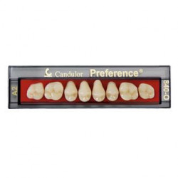 MOLAR PREFERENCE CANDULOR