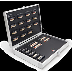 MUESTRARIO DIENTES...