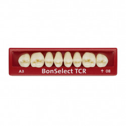 MOLAR BONSELECT TCR