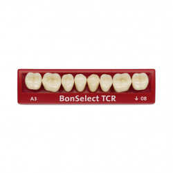 MOLAR BONSELECT TCR 2