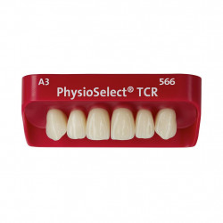 DIENTE PHYSIOSELECT TCR 2