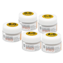 VINTAGE PRO PASTE 6G OM-O...